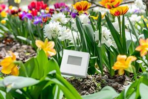 Vibrant springtime garden with colorful tulips and modern thermostat display for eco-friendly home photo