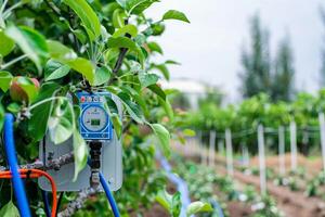 Advanced irrigation system in orchard for efficient water management and healthy growth photo