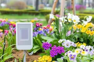 Vibrant spring garden with colorful flowers and modern technology display photo