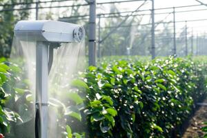 Automated irrigation system watering greenhouse plants for sustainable agriculture photo