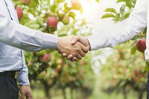 Business partnership in orchard setting with nature concept photo