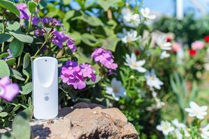 Smart garden temperature and humidity sensor among bright spring flowers for modern gardening photo