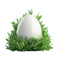 Fresh Egg Surrounded by Greenery on Transparent Background png