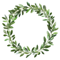 Green Olive Wreath with Leaves on Transparent Background png