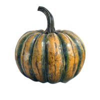 a pumpkin on a transparent background png