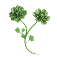 Two green flowers are on a transparent background png