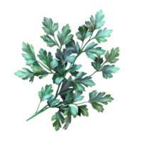 A bunch of green leaves on a transparent background png