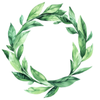 Green Wreath with Leaves on Transparent Background png
