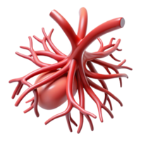 3D Render of a Human Artery System png