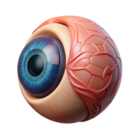 3D Render of a Realistic Human Eye png
