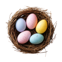 Bird nest with colorful eggs isolate on transparent background png