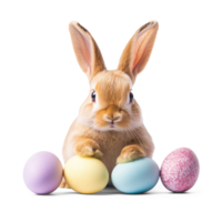 easter bunny with colorful eggs isolated on transparent background png