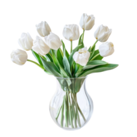 white tulips in a clear vase on a transparent background png