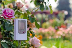 Garden temperature sensor among blooming roses in a lush spring garden photo