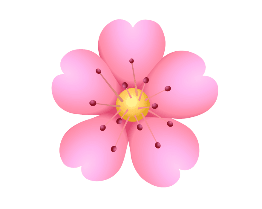 邦楽 WORD IN THE PETALS - CHERRYBOY FUNCTION Amazon.co.jp