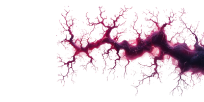 Abstract tree-like network of veins in dark red isolated on transparent background png