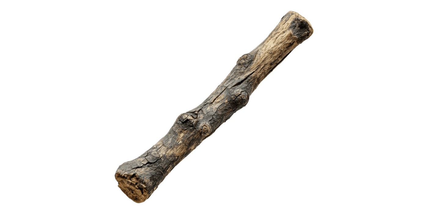 Stick PNGs for Free Download