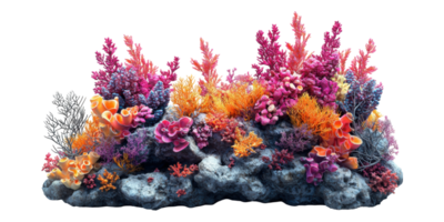 Colorful coral reef with diverse marine life isolated on transparent background png