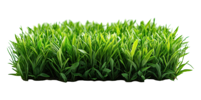 Lush green grass patch isolated on transparent background png