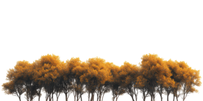 Row of autumn trees with orange foliage top view isolated on transparent background png
