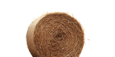 Round hay bale isolated on transparent background png