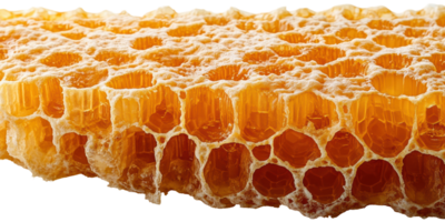 Honeycomb pattern with golden hexagonal cells isolated on transparent background png