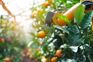 Futuristic agricultural technology with robotic arm harvesting oranges in greenhouse photo