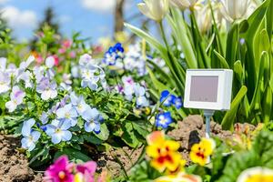 Smart gardening sensor in a colorful flowerbed for efficient plant care and monitoring photo