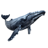 Side view of a blue whale diving isolated on transparent background png