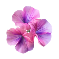 Top view of a Delicate Pink and Purple Flower Petals isolated on transparent background png