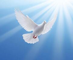 White dove soaring under bright blue sky with radiant sunlight illuminating wings photo