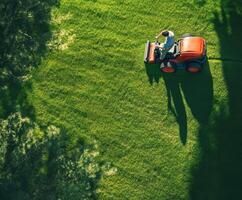 Lawn mowing on a sunny afternoon in a well-maintained backyard photo