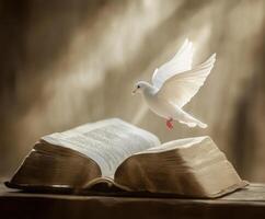 White dove takes flight above open book in serene light during peaceful moment of reflection and inspiration photo
