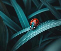 Bright red ladybug rests on a green leaf under soft natural light in a vibrant natural setting photo