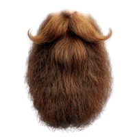 Unique close-up of a bushy brown beard showcasing intricate texture and style details in natural light isolated on transparent background png