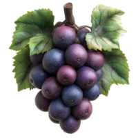 Realistic sculpture of grapes with vivid colors and intricate details, showcasing a blend of art and nature in a decorative piece isolated on transparent background png