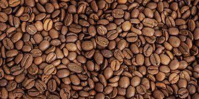 Roasted coffee beans as a background web size photo