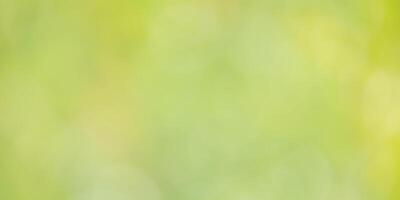 Defocused blurred green background web size. Abstract natural background. photo