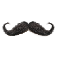 A large handlebar mustache isolated on white background png