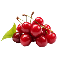 Juicy Red Cherries Fresh Fruit Delightful Snack png