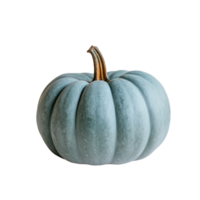 Unique blue pumpkin resting on a simple white backdrop png