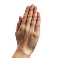 Serene Praying Hands Symbolizing Peace and Reflection on a White Background png