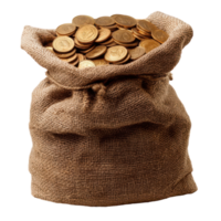 Sack Full of Golden Coins for Business and Financial Concept Imagery png