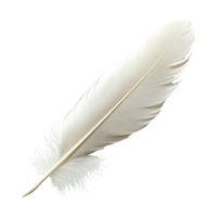 White Feather Isolated on a Clean Background for Elegant Design Use, isolated on transparent background, Format png