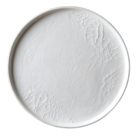 Elegant White Plate on a Clean White Background for Stylish Dining Presentations, isolated on transparent background, Format png