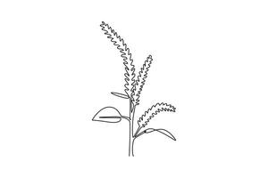 Single continuous line drawing of beauty fresh amaranthus for home wall decor art poster print. Decorative amaranth flower for wedding invitation card. One line draw graphic design illustration vector