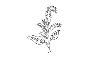Single continuous line drawing beauty fresh amaranthus for home wall decor art poster. Decorative amaranth flower concept for wedding invitation card. One line draw graphic design illustration vector