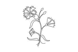 Continuous one line drawing beauty fresh bachelor button for home decor wall art poster print. Decorative cornflower concept for floral card frame. Single line draw design graphic illustration vector