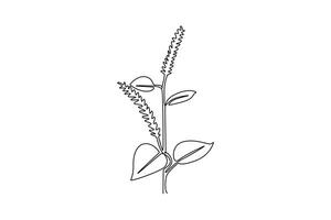 Single continuous line drawing beauty fresh amaranthus for garden logo. Decorative amaranth flower concept for home wall decoration art poster. Dynamic one line draw graphic design illustration vector