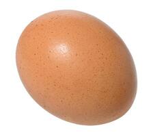 Whole raw brown egg on isolated background photo